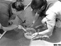 海捞瓷：保存与修复都是难题