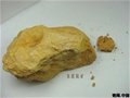 【专业详解】赵庄老朱泥