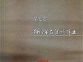 中国工艺美术大师张明文活动年表