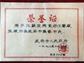 延安荣誉市民——国家级高级工艺美术师张顺法