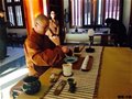 感受文成茶禅会