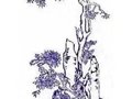 青花吉祥图案及寓意