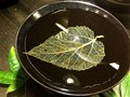 一片叶子的最佳归宿—关于木叶天目的传说