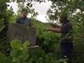 “中国古窑万里行”——灌木丛中的古窑址