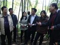 刘英姿强调:湖泗窑址要保护为主合理利用