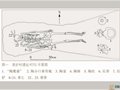 仰韶文化“陶鹰鼎”的定名及相关问题研究