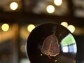 恭贺：吉州窑伍映山入选国家级非物质文化遗产代表性传承人