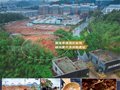 南昌李渡古窑遗址断定是唐代洪州窑